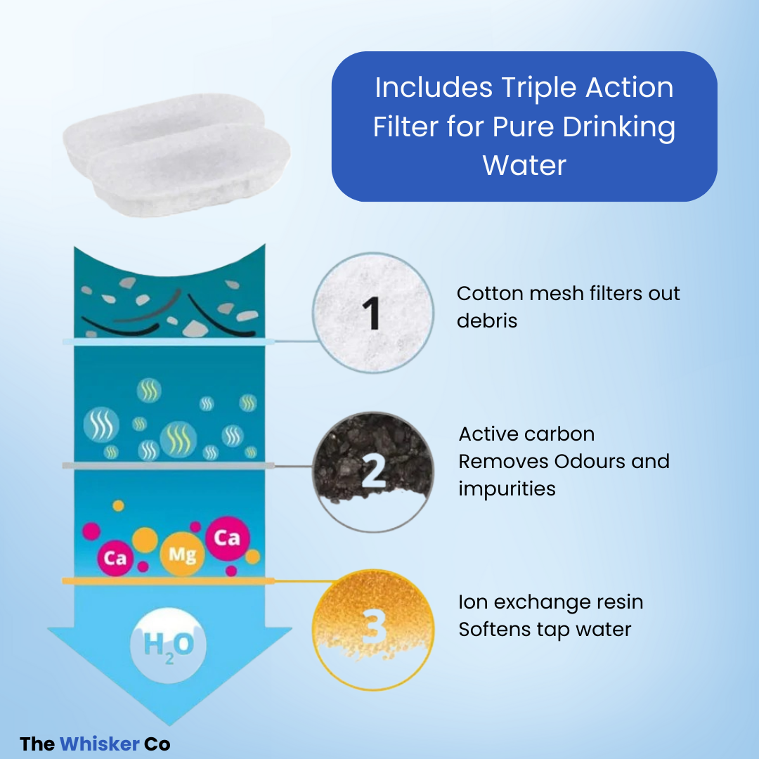 3.2L Whisker Collective Drinking Fountain and Filter Replacement Packs