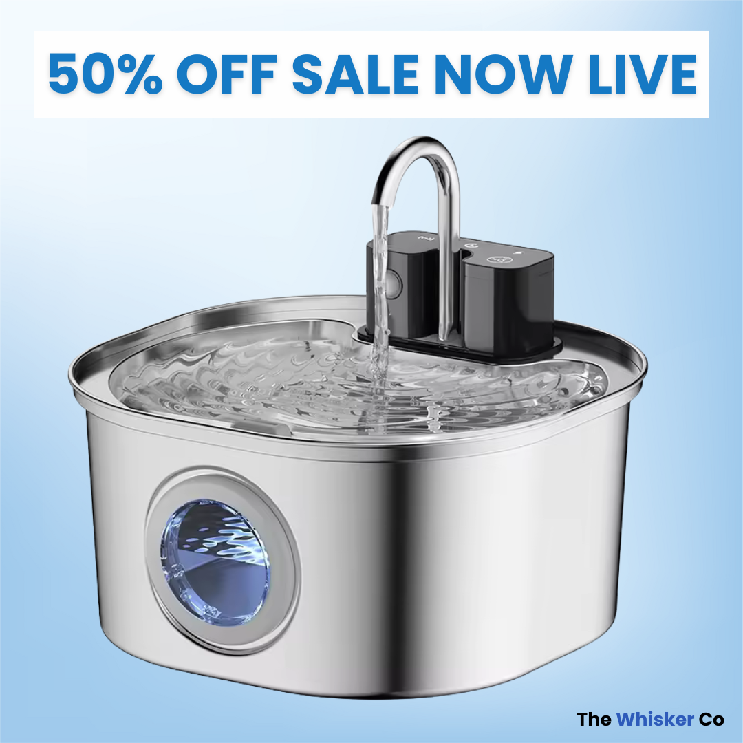 Wireless Rechargeable 3.2L Whisker Co Drinking Fountain