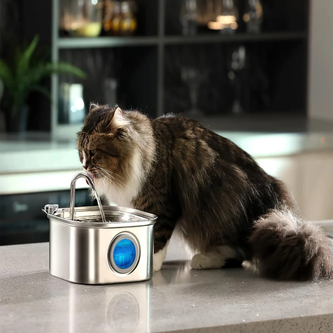 Cat Hydration Fountain