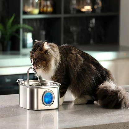 Cat Hydration Fountain