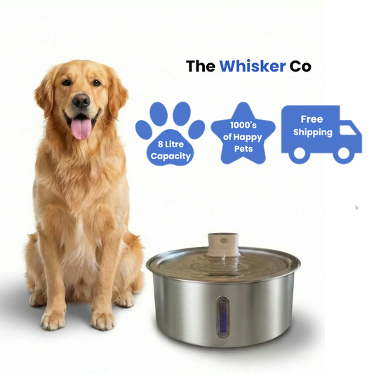 8L Wireless Whisker Co Drinking Fountain