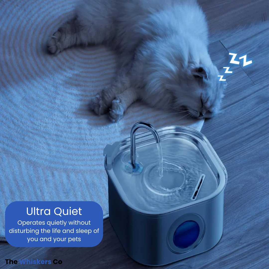 Cat Hydration Fountain