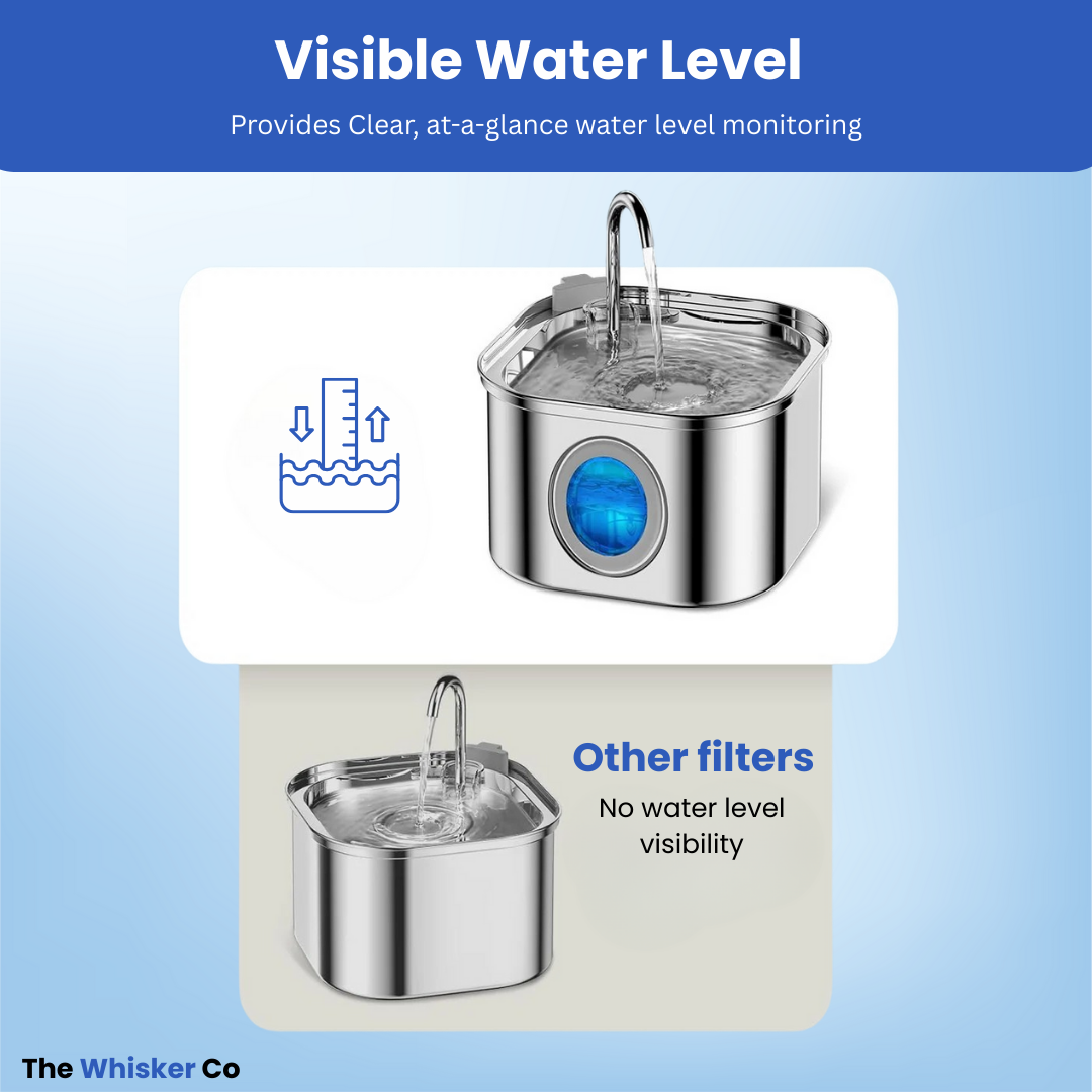 Whisker Collective Drinking Fountain