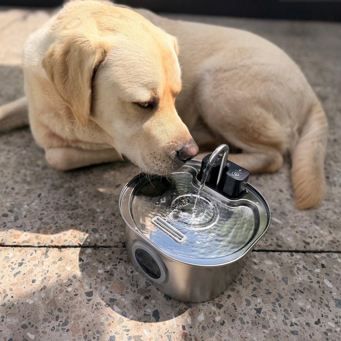 3.2L Pet Water Fountain – Wireless or Plug-In Options