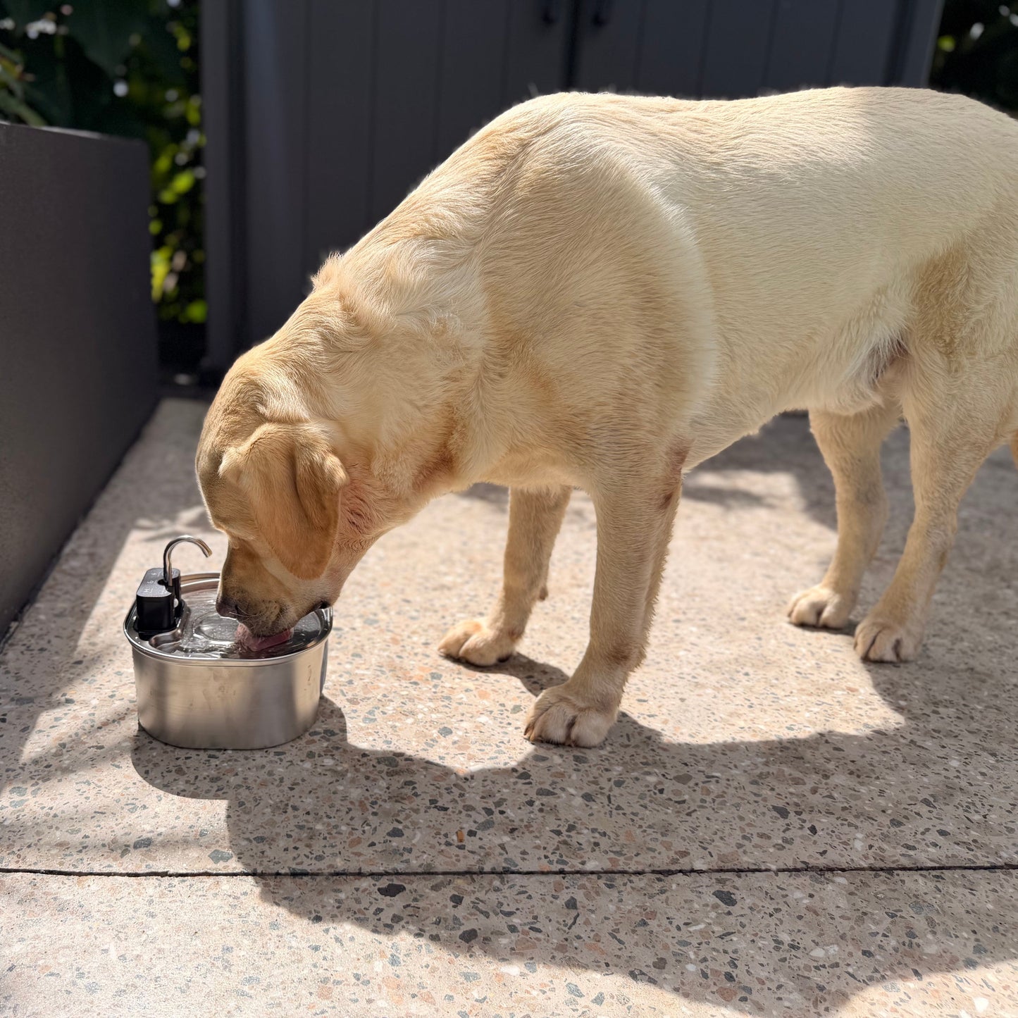 3.2L Pet Water Fountain – Wireless or Plug-In Options
