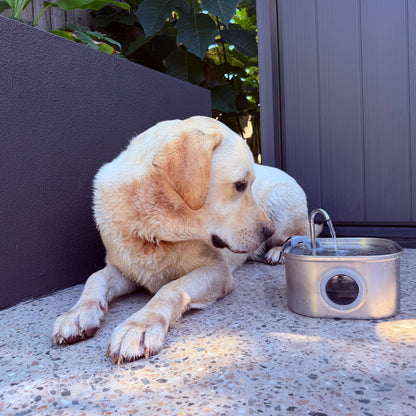 3.2L Pet Water Fountain – Wireless or Plug-In Options
