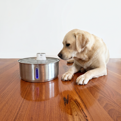 8L Wireless Whisker Co Drinking Fountain