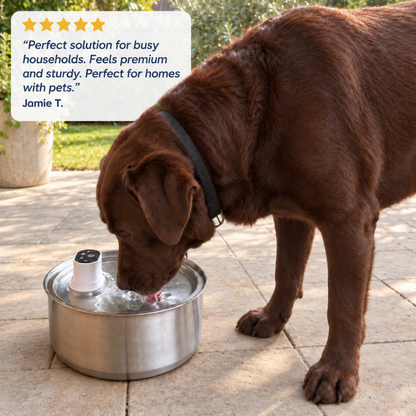 8L Wireless Whisker Co Drinking Fountain