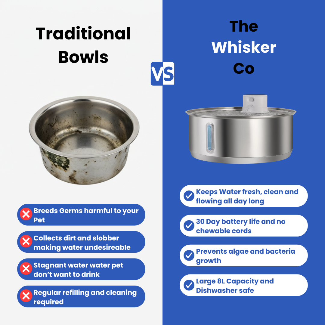 8L Wireless Whisker Co Drinking Fountain