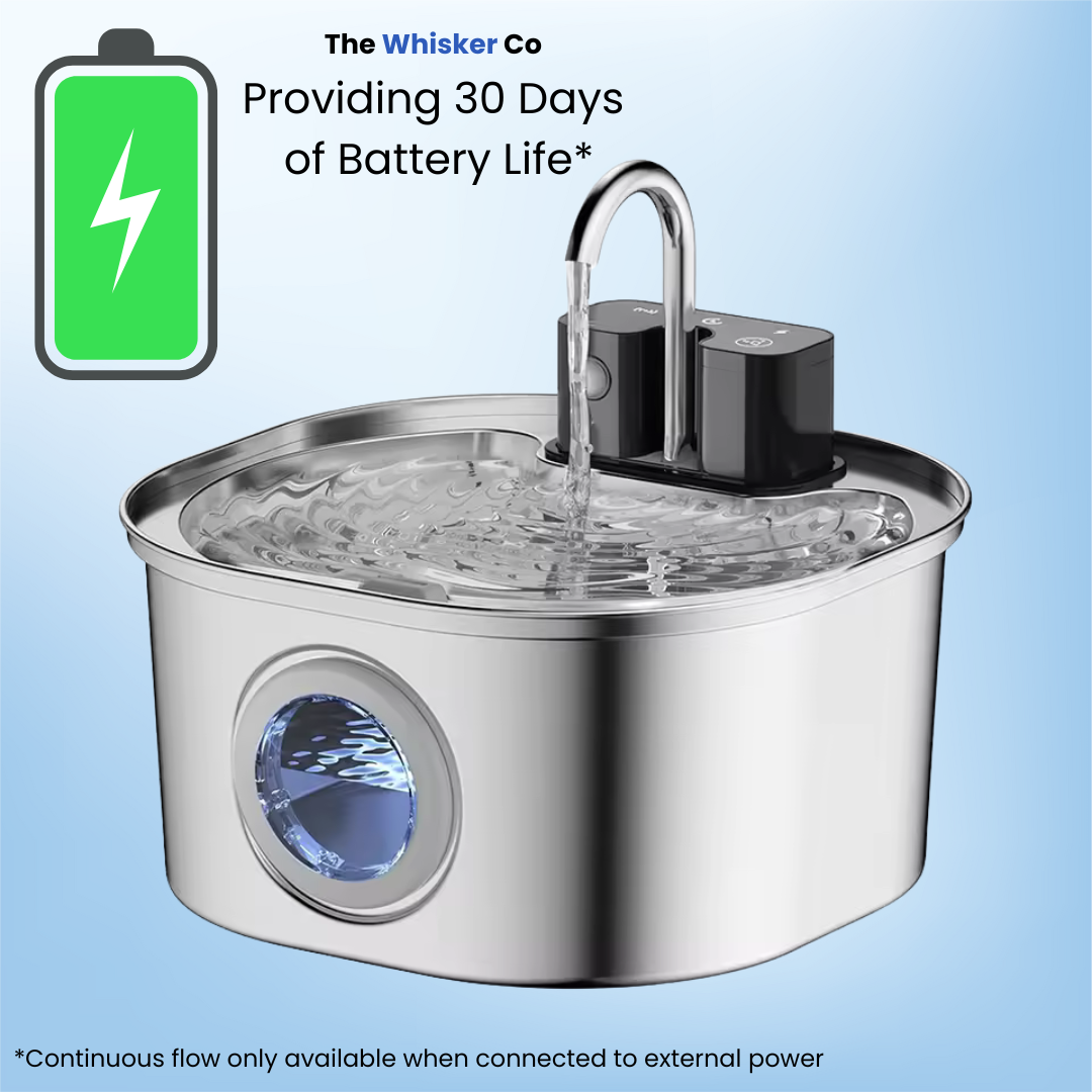 Wireless Rechargeable 3.2L Whisker Co Drinking Fountain