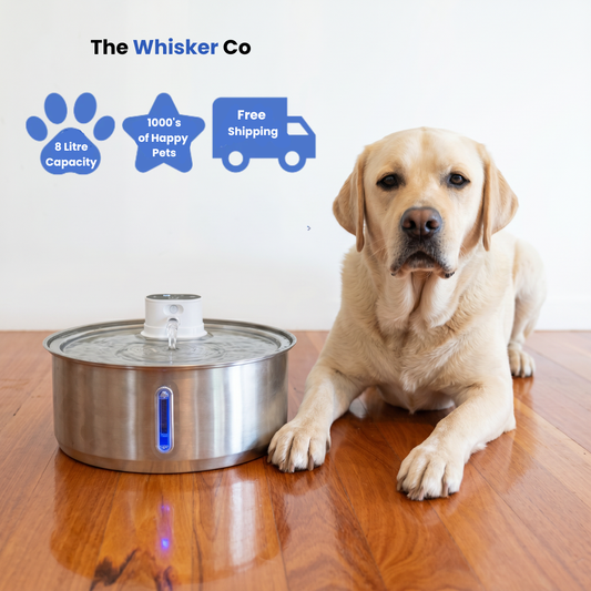 8L Wireless Whisker Co Drinking Fountain