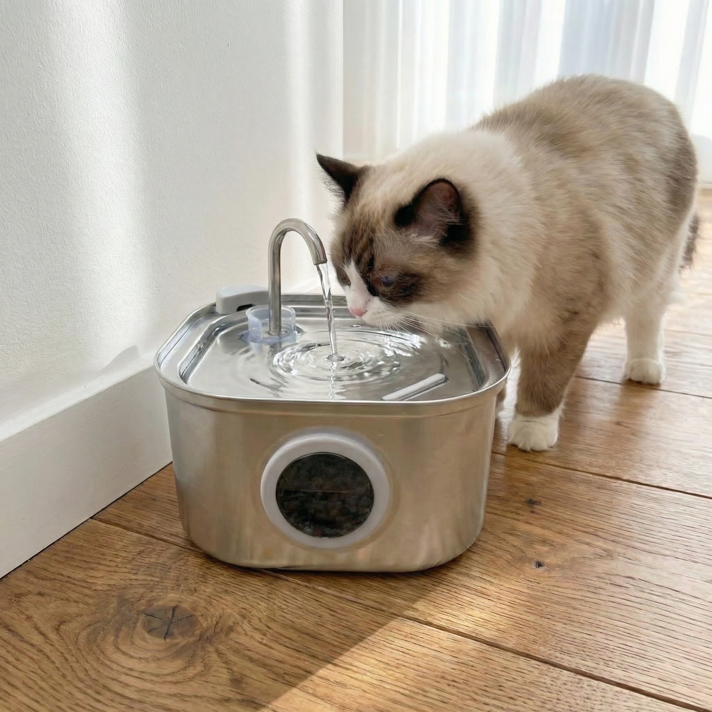 3.2L AC Powered Whisker Co Drinking Fountain