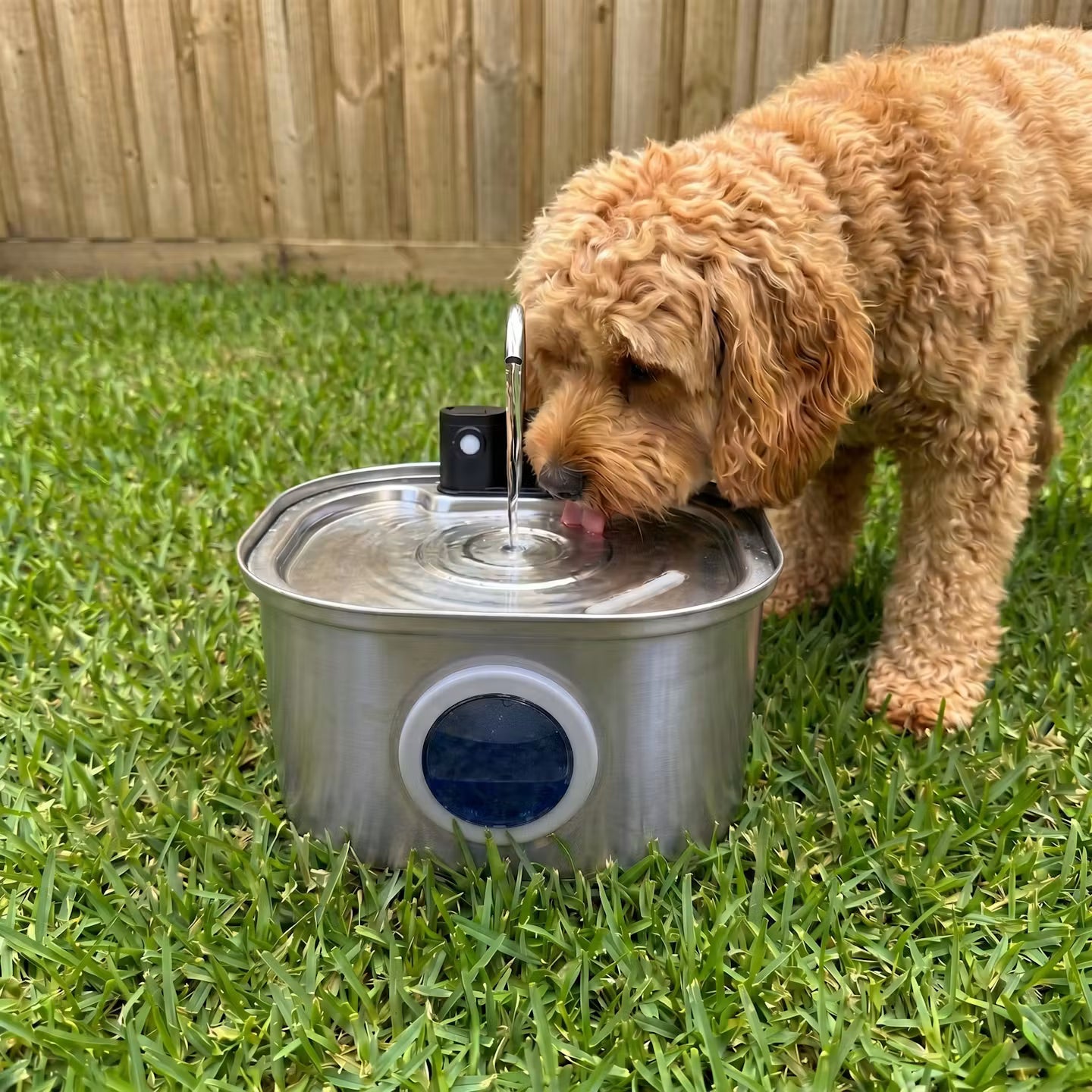 3.2L Wireless Whisker Co Drinking Fountain