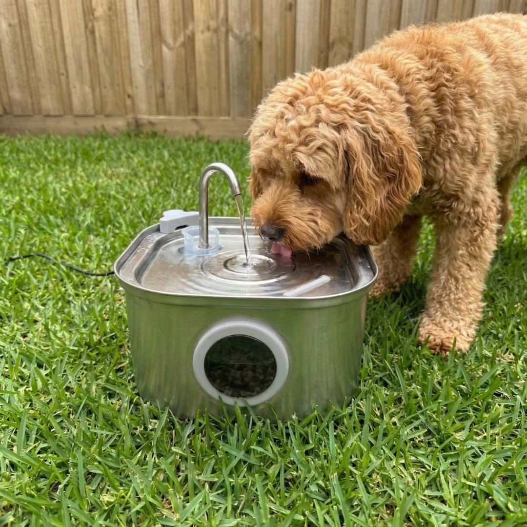 3.2L Pet Water Fountain – Wireless or Plug-In Options