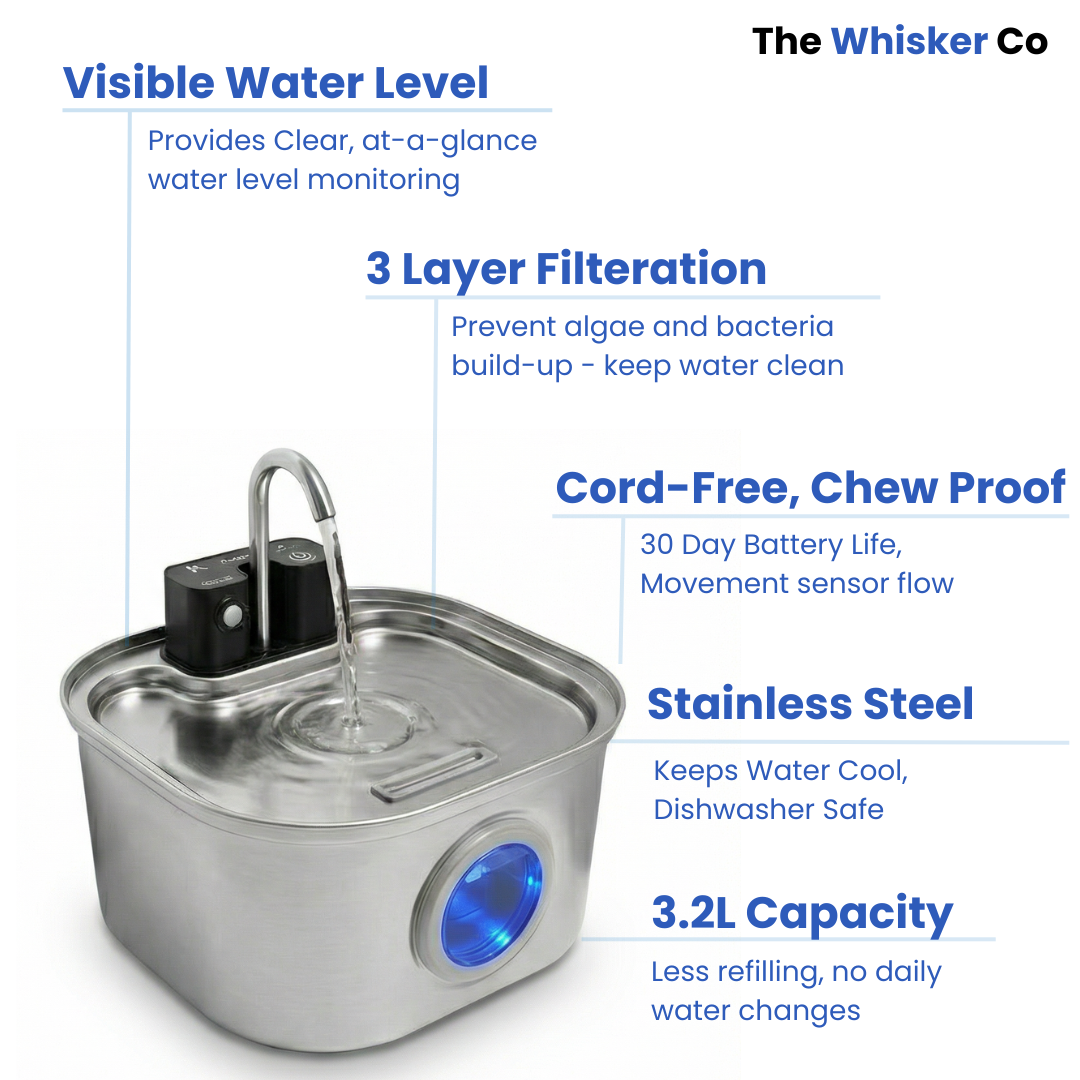 3.2L Pet Water Fountain – Wireless or Plug-In Options