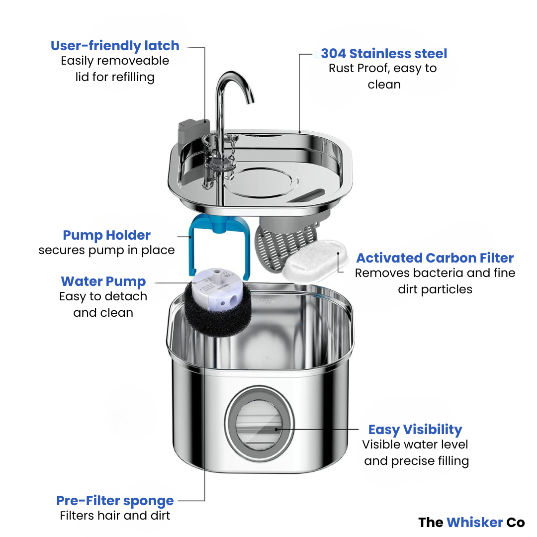 Whisker Collective Drinking Fountain