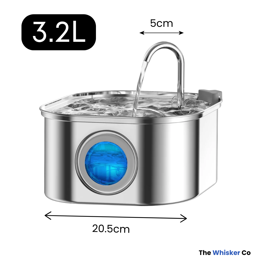 Whisker Collective Drinking Fountain