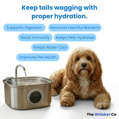 3.2L Whisker Collective Drinking Fountain and Filter Replacement Packs