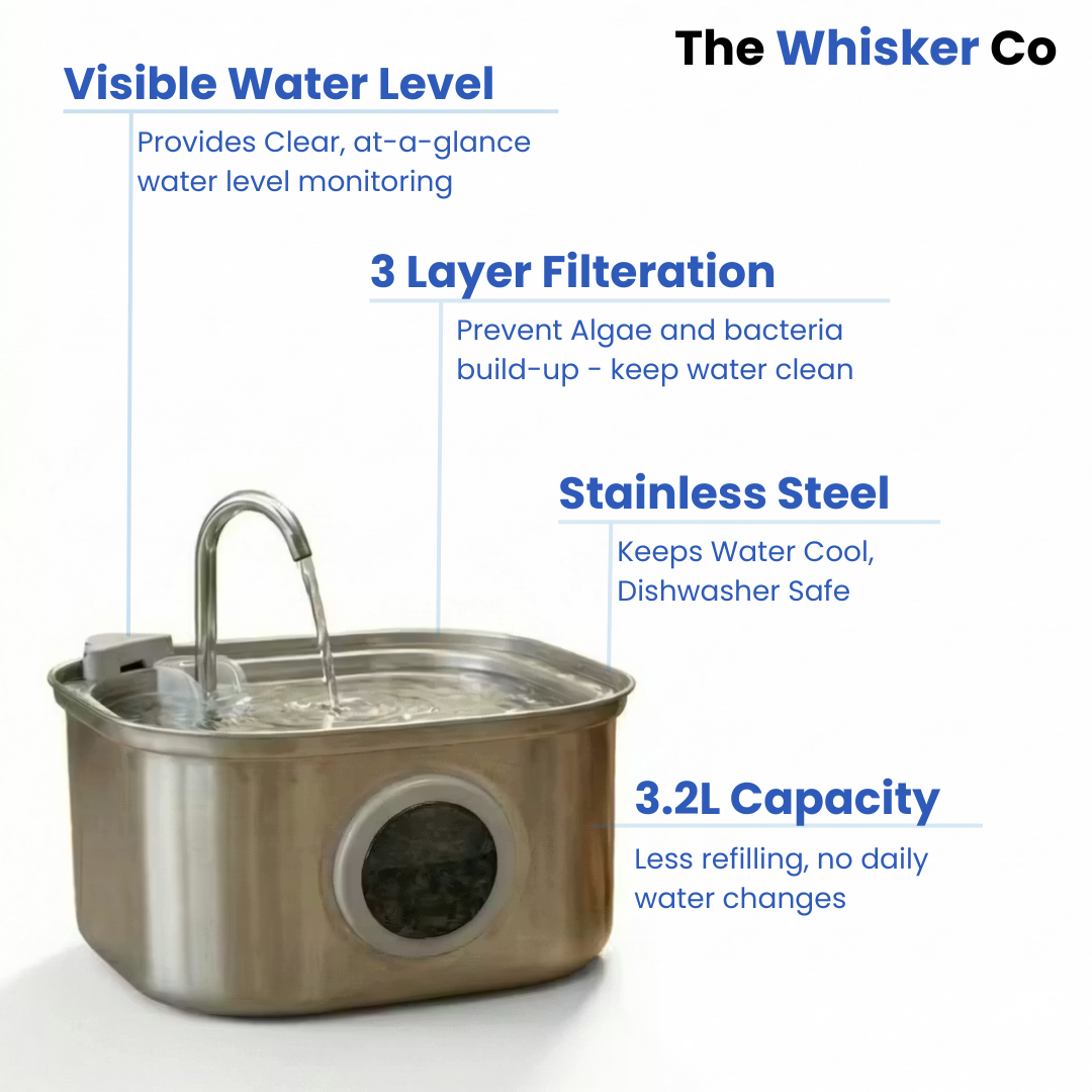 3.2L Whisker Collective Drinking Fountain and Filter Replacement Packs