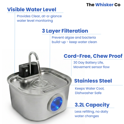3.2L Wireless Whisker Co Drinking Fountain