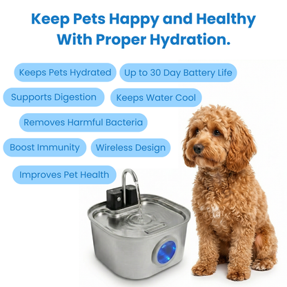3.2L Wireless Whisker Co Drinking Fountain