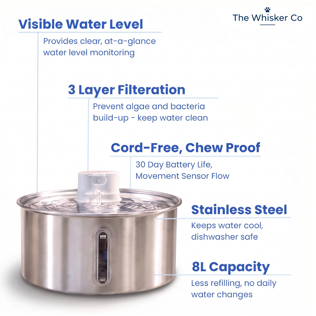 8L Wireless Whisker Co Drinking Fountain