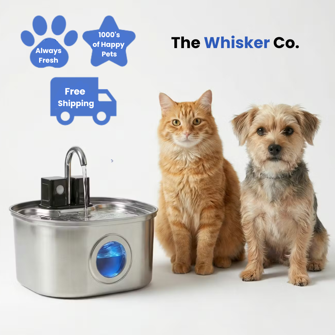 3.2L Pet Water Fountain – Wireless or Plug-In Options
