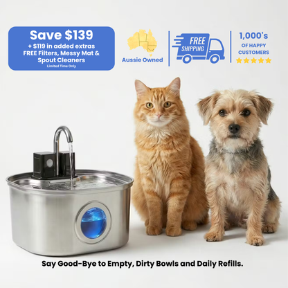 3.2L Wireless Whisker Co Drinking Fountain
